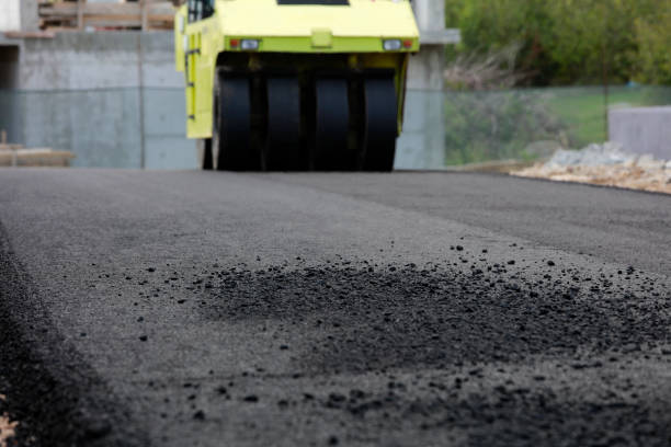 Best Best Driveway Pavers  in Palm Springs, FL