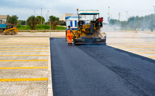 Best Custom Driveway Pavers  in Palm Springs, FL